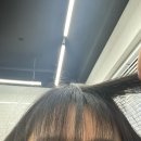 오즈캣 | 레이어드펌 교대역근처 미용실 오즈서초교대점 처음이라면 더더 추천 앞머리 도전 후기