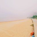 라비치호텔 이미지