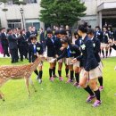 월드컵 여자 축구 대표팀 (17세이하)우승 사슴과 즐거운시간 이미지