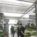 윈썸(winsome) 이미지