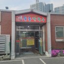 개화칼국수 | 원성동 맛집 물총 칼국수 본점, 원성천 벚꽃 개화 상황