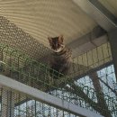 자연의 품 이미지