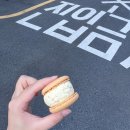 중흥로 | 포항 디저트 마카롱 맛집 스쿱당 뚱카롱 내돈내산 후기(메뉴, 주차)