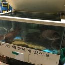 덕호수산 이미지