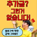 애견갤러리강아지분양애견샵 | 동탄애견샵 강아지분양 입양 후기