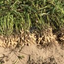 덕둔지농장 이미지