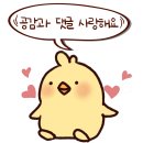 파인땡큐앤유 | 있나요 파인땡큐 파인애플 임산부도 가능한 소화효소 탄단지분해