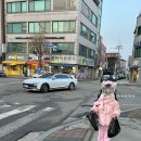 철원교육도서관 이미지
