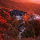 제11공원 Daum카페