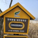 여주시에 있는 출렁다리 이미지