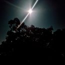 별이되다 이미지