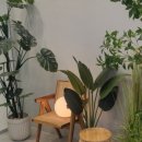 성모행복정신건강의학과의원 이미지