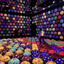 신토요스역 팀랩 플래닛(Team lab Planet) 후기