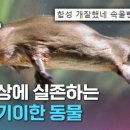 독포유 이미지