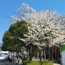 스포원 이미지
