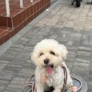 육츠커피하우스