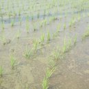 동천농장 이미지