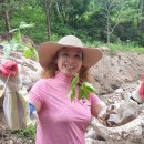 박선희농장 이미지