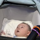 [인천] 5개월 아기랑 인스파이어 엔터테인먼트 리조트 포레스트타워 스위트룸 호캉스 후기/수유실...