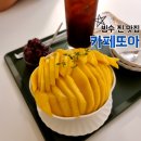 카페 또아 | 안성 예쁜 산책로가 있는 빙수 카페 &#34;카페 또아&#34; 내돈내산 후기