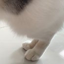 또진이네