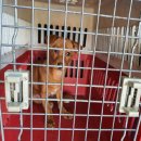 김유정로 이미지