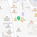 인천부평 요미독앤캣 강아지분양 고양이분양 이미지