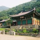 불회사 이미지