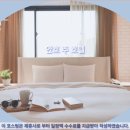 현대임업 - 용인시 기흥구 | 안호 추 호텔 이란여행 이란 호텔 추천 후기 총정리