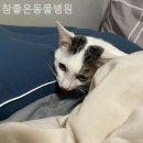 참좋은동물병원 네이버블로그