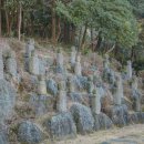 송당본향당 | [송당 당오름] 송당마을의 수호신을 모시는 본향당이 있는 오름