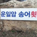 운일암송어횟집 이미지