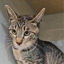 양은리어린이공원 이미지