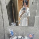멍멍푸드 | 부산근교 애견동반 수영장 밀양 멍멍아노올자펜션 편리한정보 모아뒀어요