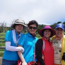 해창목장 이미지