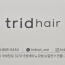트리드헤어