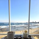 셀러뷰 | 강원도 고성 아야진해수욕장 오션뷰 카페 스위밍터틀 방문후기