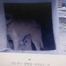 공범농장 이미지