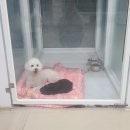 빈스 앤 멍 이미지