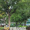 바디워크 | 요가 이하늬요가 '코브라요가' : 시설, 가격, 강사진, 수업 솔직 후기 (민생회복지원금 사용 가능 매장)