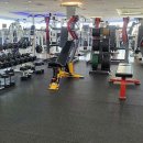 비바휘트니스 이미지