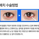 디플랜성