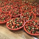 북촌농장 이미지