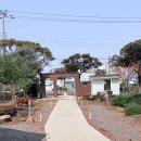 RNR | 제주신상빵집 한림 ttr 베이커리 rnr 2호점 가오픈 후기 (사워도우 전문)