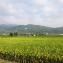 회천농업협동조합 회령지점 이미지