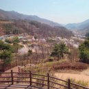 예천3로 | 경북 예천 아이랑 가볼만한곳 예천곤충생태원 후기