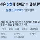 삼성 고시(GSAT) 언어영역 1문제 이미지