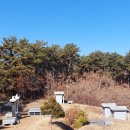 양택공설묘지 이미지