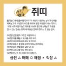 오늘의 운세 --- 2022년 7월 27일(음력 6월 29일) 辛巳 수요일 이미지