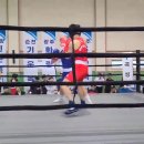 광주화랑권투 이미지